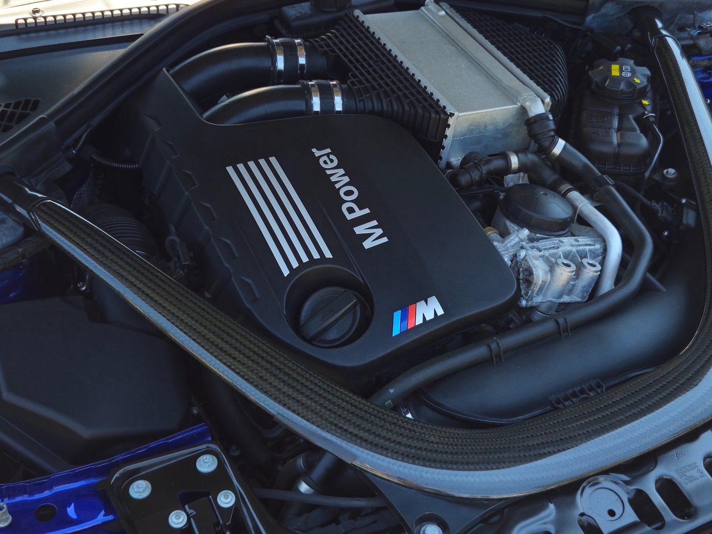 Clean BMW M engine bay after an engine bay detail by Vantique Detailing